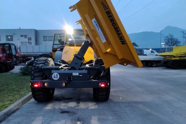 Bergmann C815 trilaterale TARGATO - Gallery